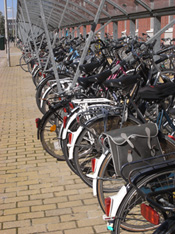 Hanze University Campus bikes