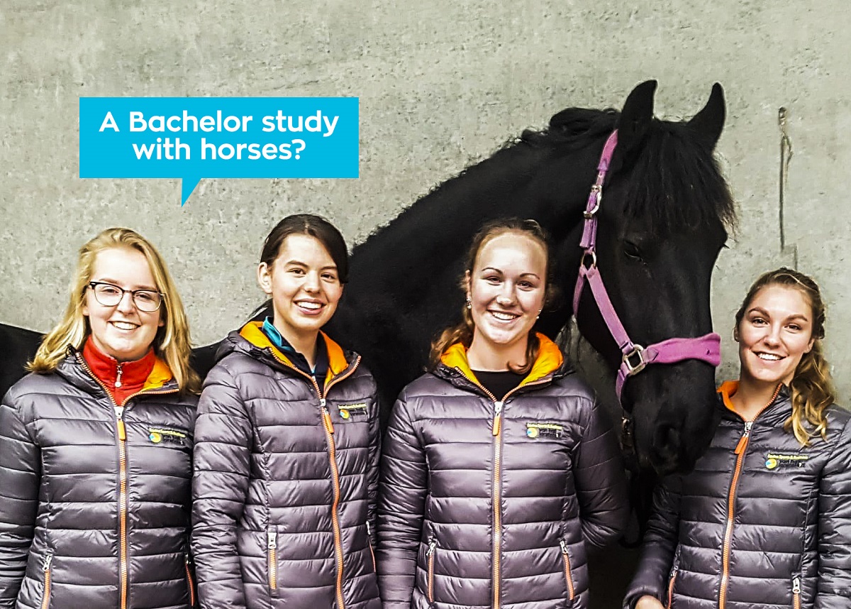 /images/pages/VHL_Bachelor_Equine_Sports_Business.jpg